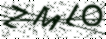 驗證碼